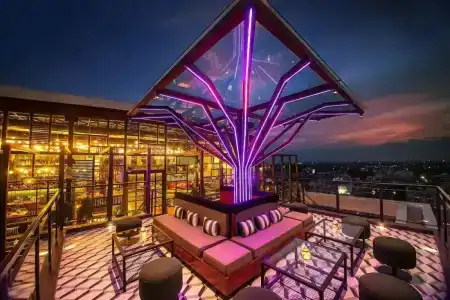 Lemon Tree Premier, Jaipur - 9