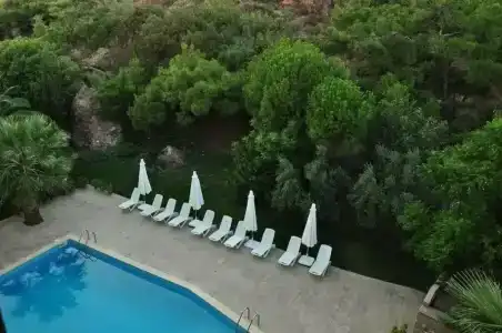 Palm Court Suites - 18