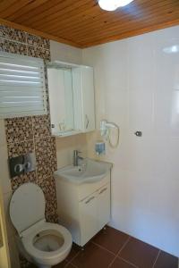 Cobanoglu - 29