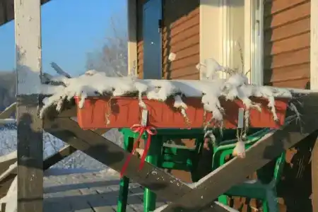 Тихий берег - 41