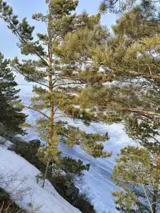 Мыс бык - 9