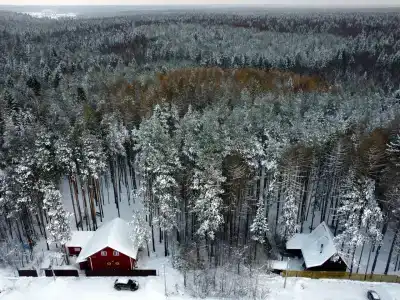 СмородинаХаус - 14