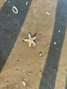 Doubletree By Hilton - 98