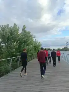 Волна При Цсп - 15
