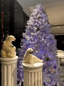 Меридиан - 41