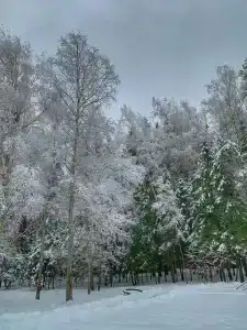 Детский санаторий Поляны - 57