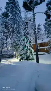 Робинзон - 34