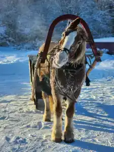 Усадьба Галат - 36