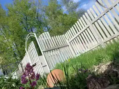 Фазенда - 26