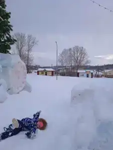 Золотая подкова - 4