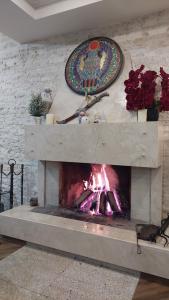 King David Bakuriani - 21