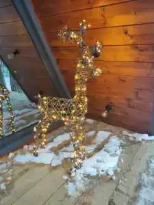 Ильинка лес - 26