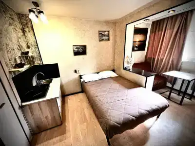 Полярник - 51