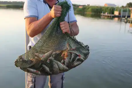 Тихий Причал - 34