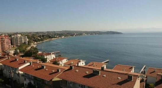 Paradise Island - 23