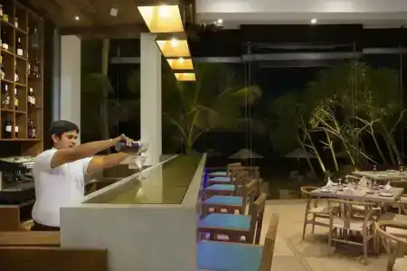 The Lucky Elephant - 47