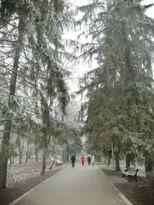 Целебные воды - 22