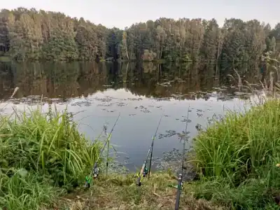 Веселый Роджер - 38