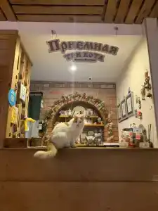 Три кота - 45