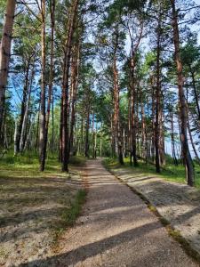 Гостевой дом Элиза Заркау - 42