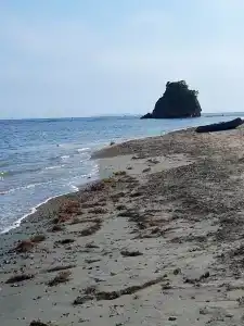 Зелёная полянка - 59