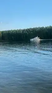 Цска - 12