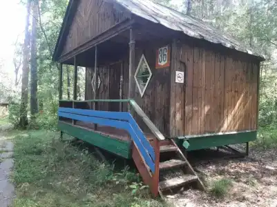 Лесное озеро - 1