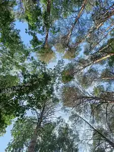 База Путеец - 52