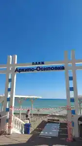 Альбатрос - 44