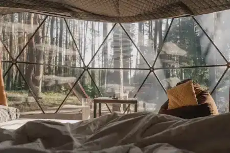 Villy Uley Karelia (Вили Улей Карелия) - 4