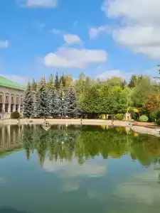 Богородское - 41