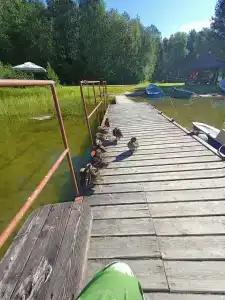 Авиаретро - 31