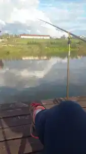 ДоброФиш - 18