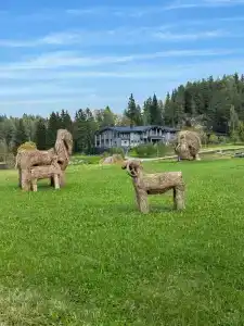 Ладожская Усадьба - 39