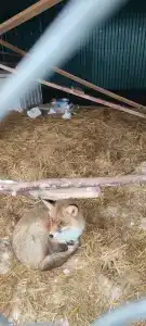 Медвежий Хутор - 2