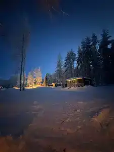 Медвежья Лапа - 45