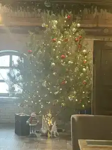 Лофт-отель Островский - 92