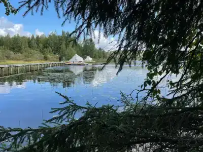 Sky Wood Hills - 11