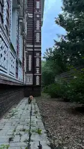 Гостевая Изба на Истре - 48