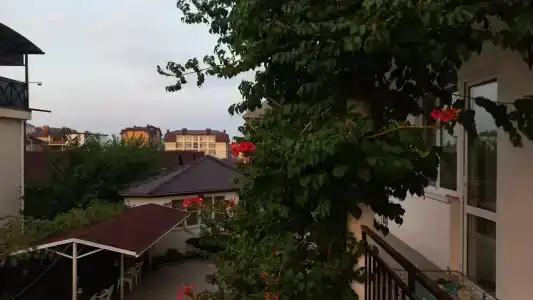 Фламинго - 11