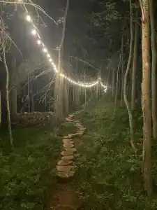 Villy Uley Karelia (Вили Улей Карелия) - 68