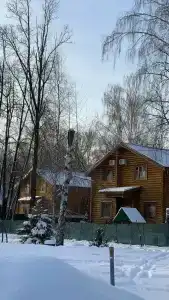 Чайка - 25