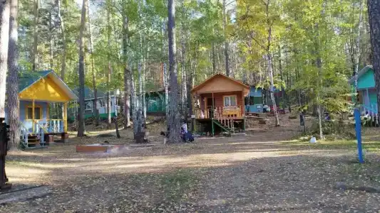 Сосенка - 19