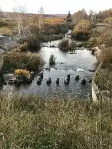 Бузим Красноярск - 19