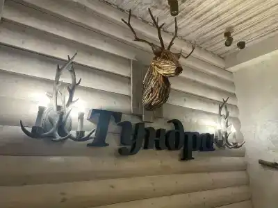 Тундра - 92