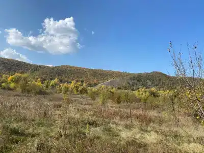 Зелёный берег - 37
