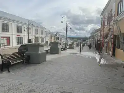 Пантера - 13