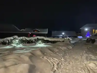 Тайга - 6