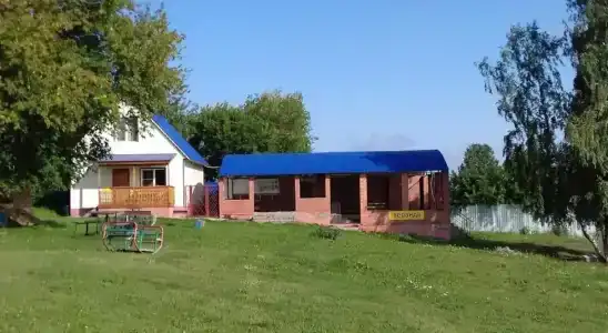 Гринта - 36