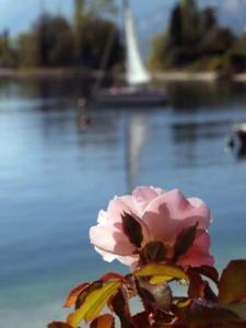 Val Di Sogno - Adults Only - 16
